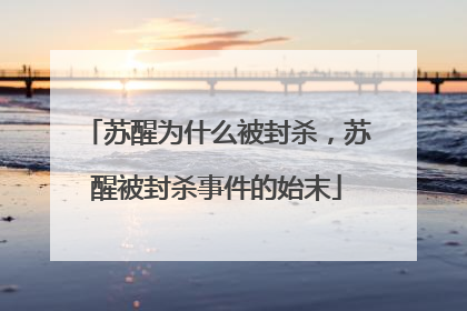 苏醒为什么被封杀,苏醒被封杀事件的始末