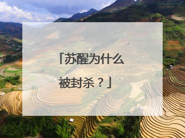 苏醒为什么被封杀?