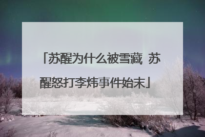 苏醒为什么被雪藏 苏醒怒打李炜事件始末