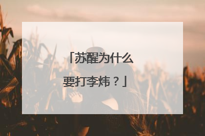 苏醒为什么要打李炜?
