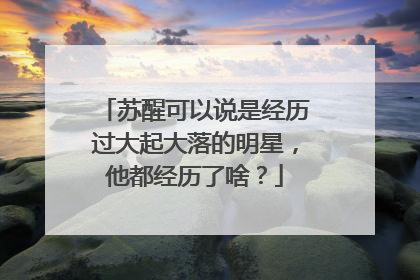 苏醒可以说是经历过大起大落的明星,他都经历了啥?