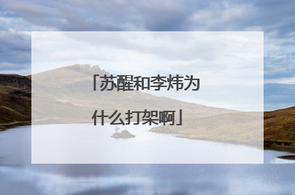 苏醒和李炜为什么打架啊
