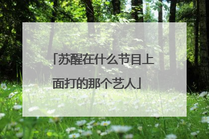 苏醒在什么节目上面打的那个艺人