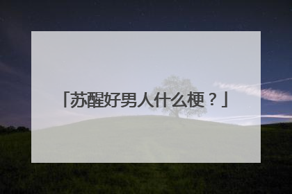 苏醒好男人什么梗？