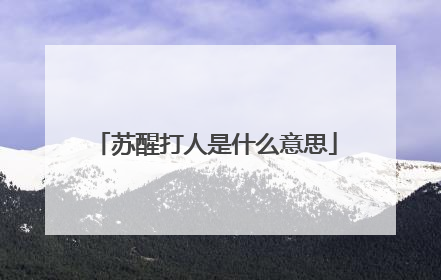苏醒打人是什么意思