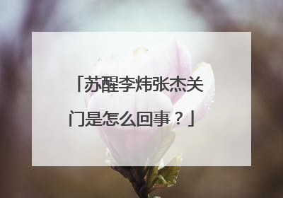 苏醒李炜张杰关门是怎么回事?