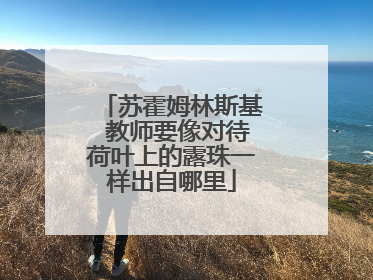 苏霍姆林斯基 教师要像对待荷叶上的露珠一样出自哪里