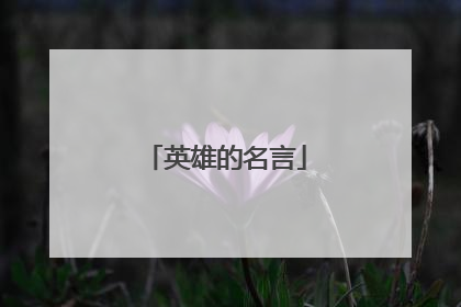 英雄的名言