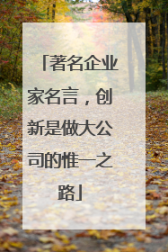 著名企业家名言,创新是做大公司的惟一之路