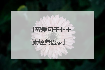 葬爱句子非主流经典语录