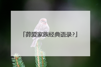 葬爱家族经典语录?