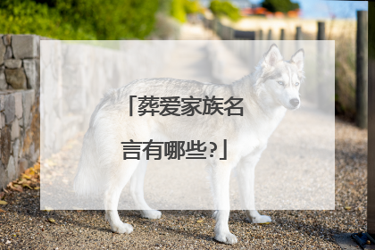 葬爱家族名言有哪些?