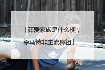 葬爱家族是什么梗,杀马特非主流鼻祖