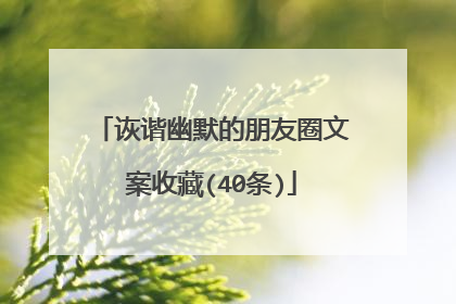 诙谐幽默的朋友圈文案收藏(40条)