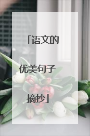 语文的优美句子摘抄