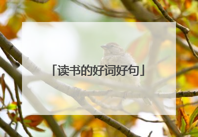 读书的好词好句