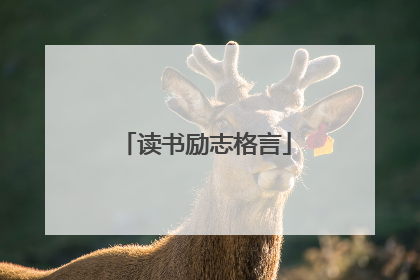 读书励志格言