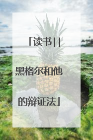 读书||黑格尔和他的辩证法