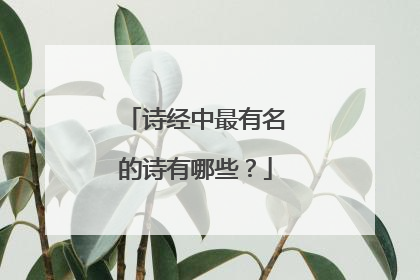 诗经中最有名的诗有哪些？