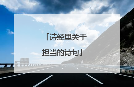 诗经里关于担当的诗句