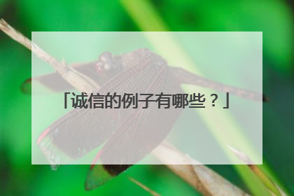 诚信的例子有哪些?
