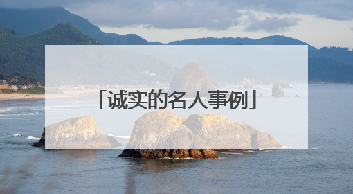 诚实的名人事例