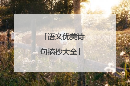 语文优美诗句摘抄大全