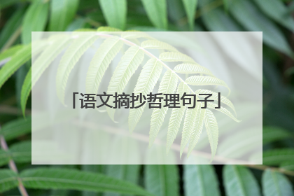 语文摘抄哲理句子
