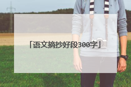 语文摘抄好段300字