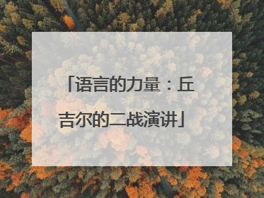 语言的力量:丘吉尔的二战演讲