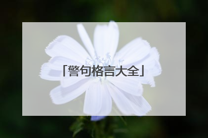 警句格言大全