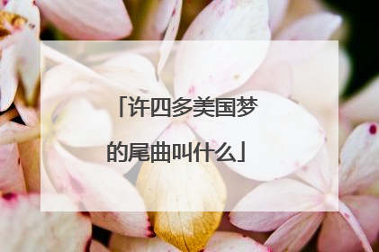 许四多美国梦的尾曲叫什么