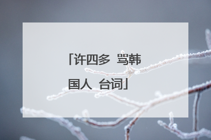 许四多 骂韩国人 台词