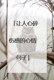 让人心碎伤感的心情句子