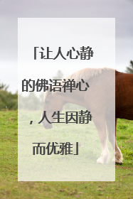 让人心静的佛语禅心,人生因静而优雅