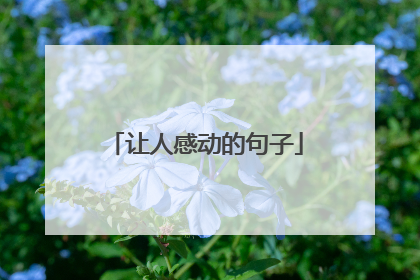 让人感动的句子