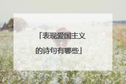 表现爱国主义的诗句有哪些
