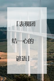 表现团结一心的谚语