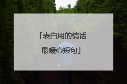 表白用的情话 最暖心短句