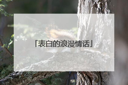 表白的浪漫情话