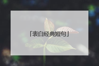 表白经典短句