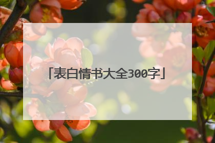 表白情书大全300字