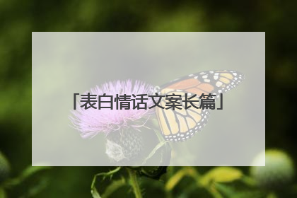 表白情话文案长篇