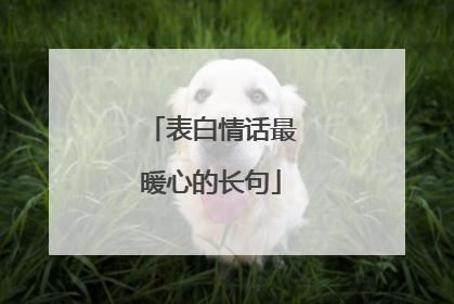 表白情话最暖心的长句