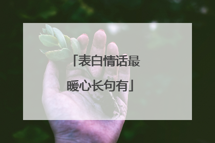 表白情话最暖心长句有