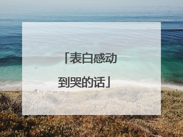 表白感动到哭的话