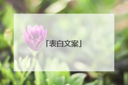 表白文案