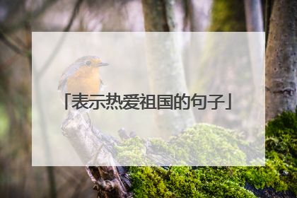 表示热爱祖国的句子