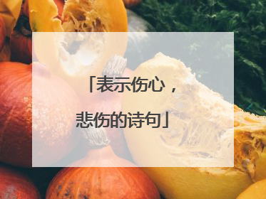 表示伤心,悲伤的诗句