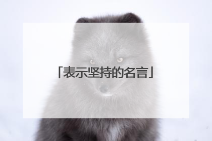 表示坚持的名言